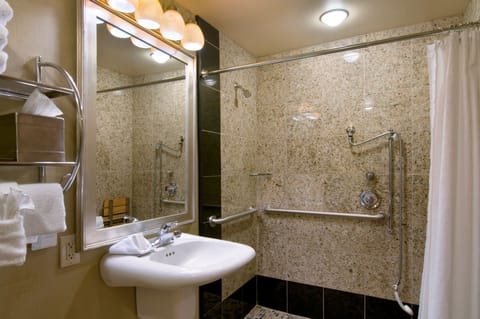 Combined shower/tub, eco-friendly toiletries, hair dryer, towels