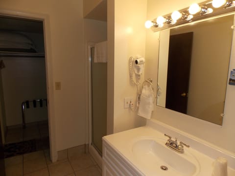 Jacuzzi Suite | Bathroom | Free toiletries, hair dryer, towels