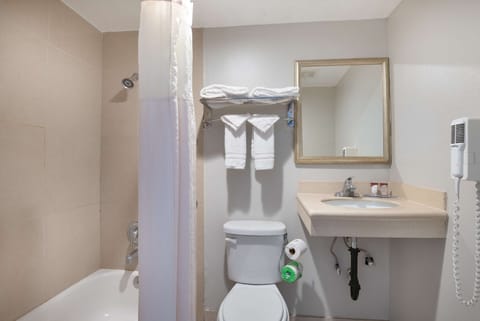 Combined shower/tub, free toiletries, hair dryer, towels