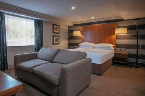 Junior Suite, 1 King Bed | Living area | 48-inch LCD TV with satellite channels, TV