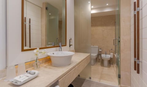 Superior Double or Twin Room, Garden View | Bathroom | Free toiletries, hair dryer, bathrobes, slippers
