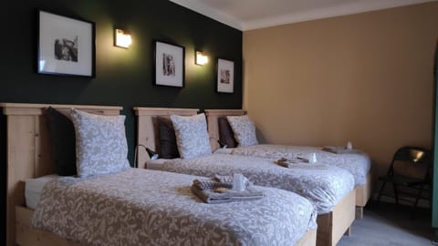 Family Room (HQ 3) | Hypo-allergenic bedding, soundproofing, free WiFi, bed sheets