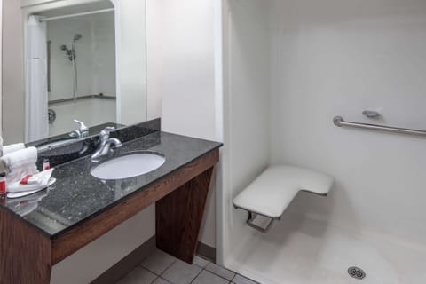 Room, 1 King Bed, Roll-in Shower, Non Smoking (Mobility Accessible) | Bathroom | Combined shower/tub, free toiletries, hair dryer, towels