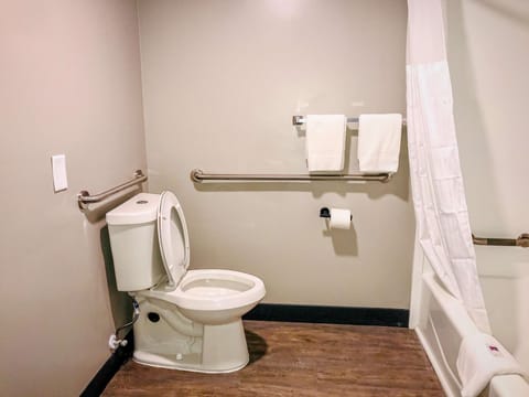 Standard Room, 1 King Bed, Accessible, Non Smoking | Accessible bathroom