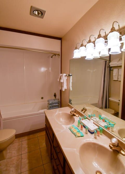 Loft | Bathroom | Combined shower/tub, free toiletries, hair dryer, towels