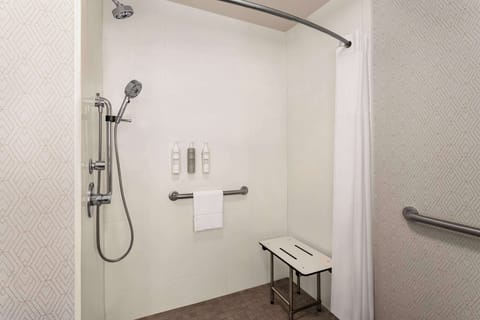 Room, 1 King Bed, Accessible, Non Smoking | Bathroom shower