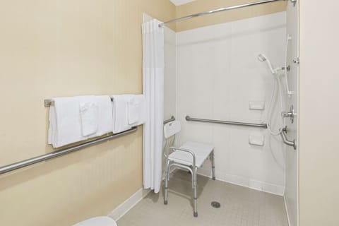 Room, 1 King Bed, Accessible, Non Smoking | Bathroom | Shower, free toiletries, hair dryer, towels