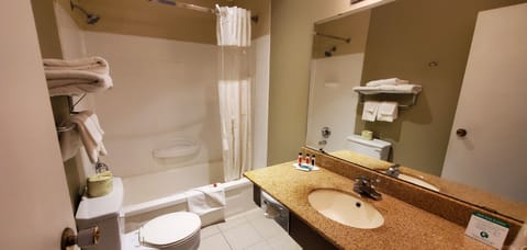 Combined shower/tub, free toiletries, hair dryer, towels