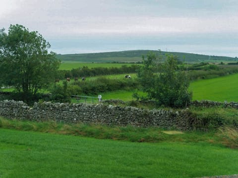 Surrounding area | Wild Duck, Swarthmoor, near Ulverston