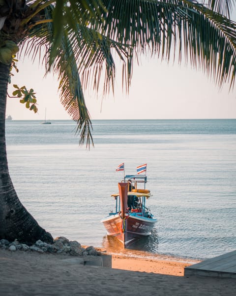 Private beach, sun loungers, beach towels, beach massages