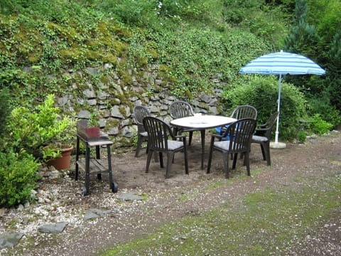 Table, Nature Reserve, Garden, Furniture, Tree, Outdoor Table, Botany, Yard, Leaf, Grass