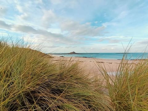 The Saint-Michel beach at 800m from the gîte