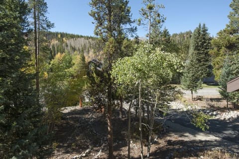 View out front door Summer