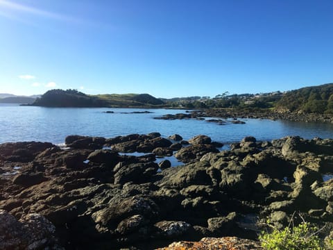 The coastal rock pools are full of sealife.