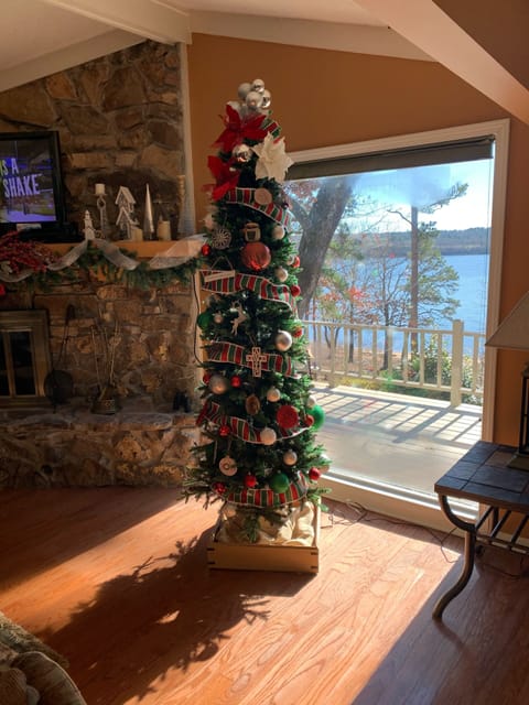 Christmas at the lake.