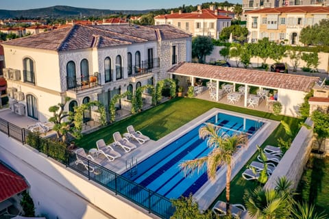 Standard Pool View | View from room