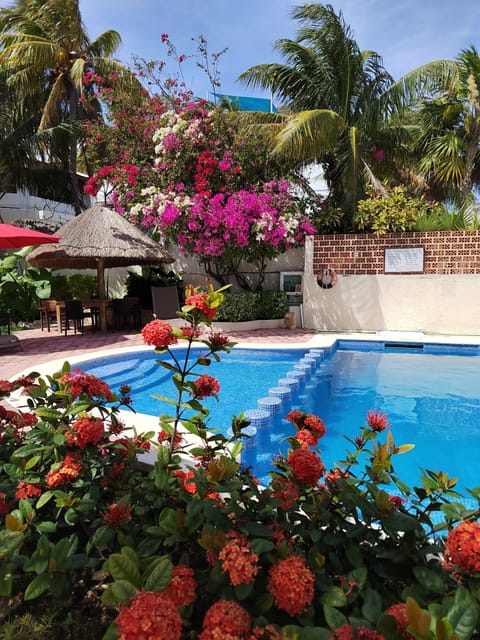 Outdoor pool, sun loungers