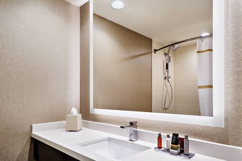 Designer toiletries, hair dryer, towels