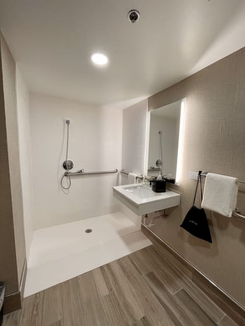 Standard Room, 1 King Bed, Accessible, Non Smoking (Roll-In Shower) | Accessible bathroom