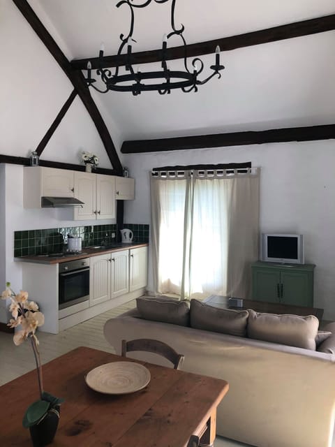 lounge kitchen and dinning area 