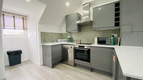 Superior Apartment | Private kitchen | Full-size fridge, microwave, oven, dishwasher