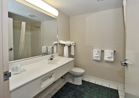 Combined shower/tub, free toiletries, hair dryer, towels