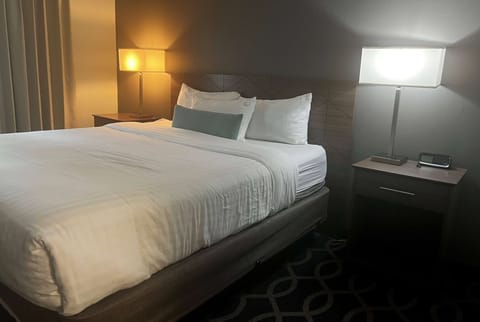 Suite, 1 King Bed, Non Smoking | In-room safe, individually decorated, individually furnished, desk