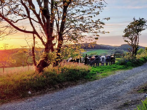 Surrounding area | Coachman, Portpatrick, near Stranraer