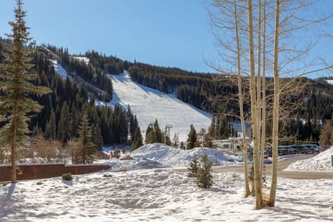 Condo, 1 Bedroom | Snow and ski sports