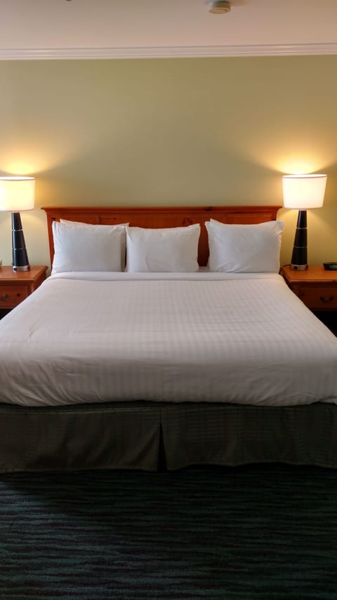 Room, 1 King Bed | Premium bedding, desk, iron/ironing board, free WiFi