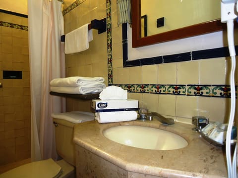 Grand Studio Suite | Bathroom | Shower, free toiletries, hair dryer, towels