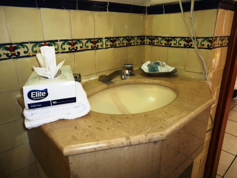 Grand Studio Suite | Bathroom | Shower, free toiletries, hair dryer, towels