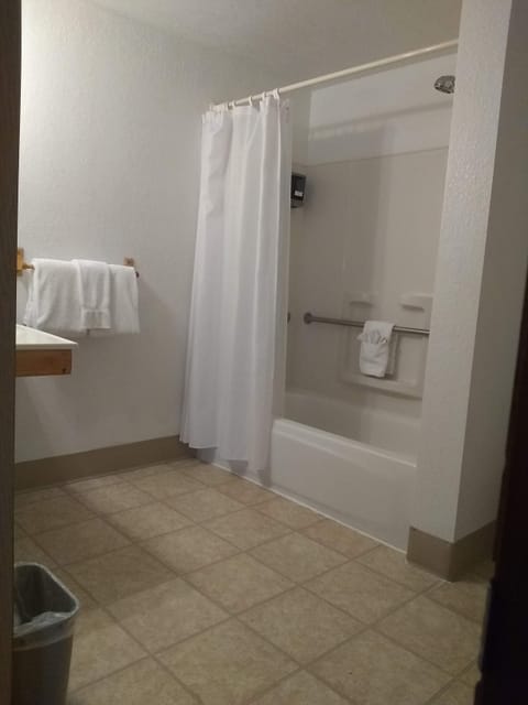 Deluxe Room | Bathroom | Shower, hair dryer, towels