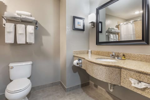 Suite, 1 King Bed, Non Smoking, Refrigerator & Microwave (with Sofabed) | Bathroom | Combined shower/tub, rainfall showerhead, free toiletries, hair dryer