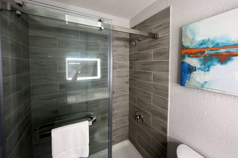 Combined shower/tub, hair dryer, towels