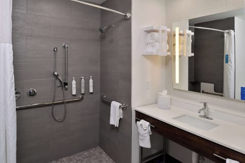 Studio, 1 King Bed, Accessible, Non Smoking | Bathroom shower