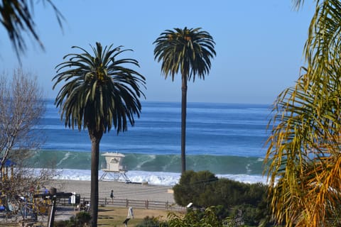 Beach/ocean view