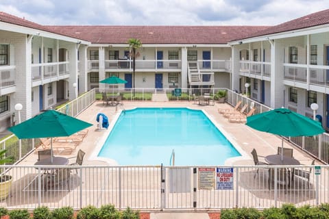 Seasonal outdoor pool, pool umbrellas, sun loungers