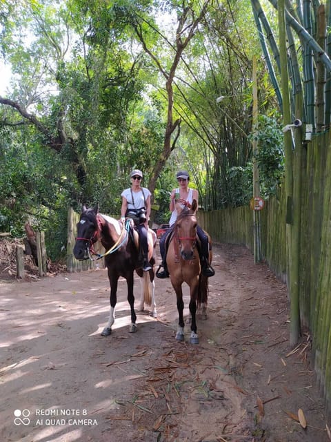 Horseback riding