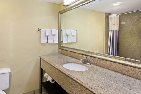 Combined shower/tub, free toiletries, hair dryer, towels