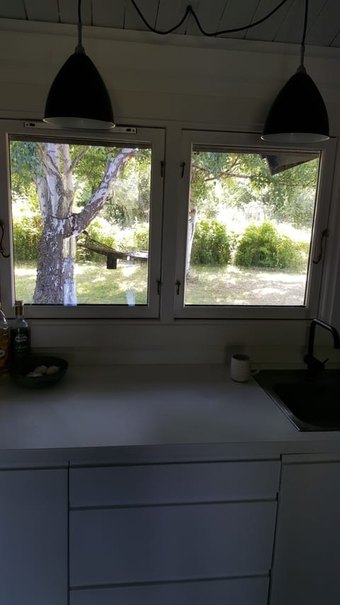 View from kitchen towards backside garden