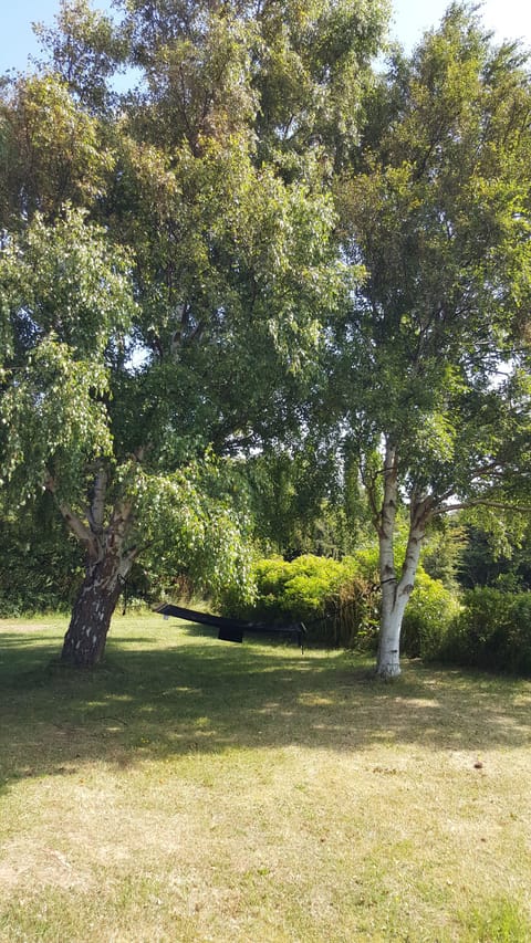 Backside of estate with hammock