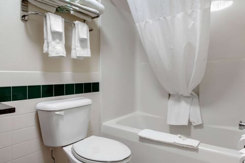 Combined shower/tub, free toiletries, hair dryer, towels