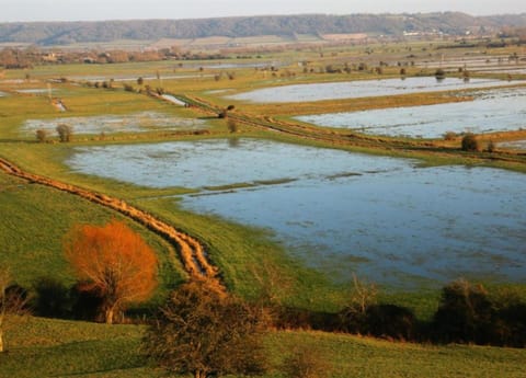 House | View from property