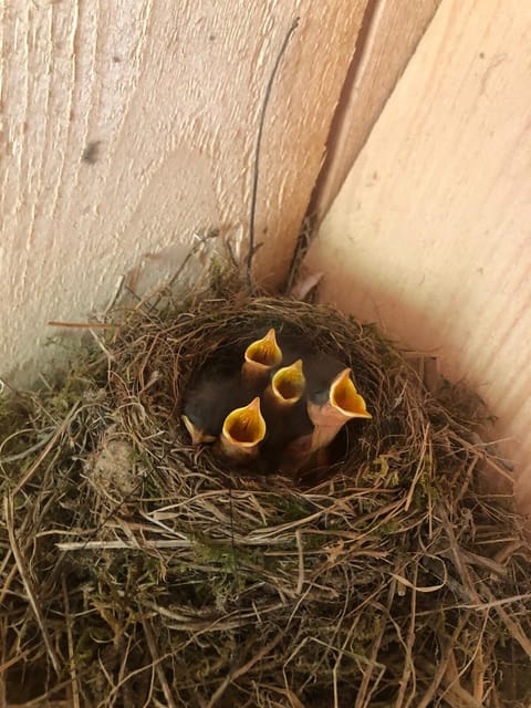 Children's activities