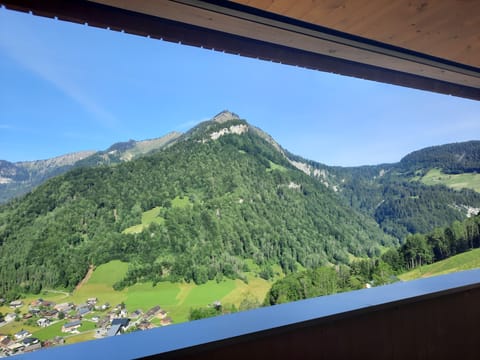 Apartment, 2 Bedrooms (Wiesnduft) | Terrace/patio