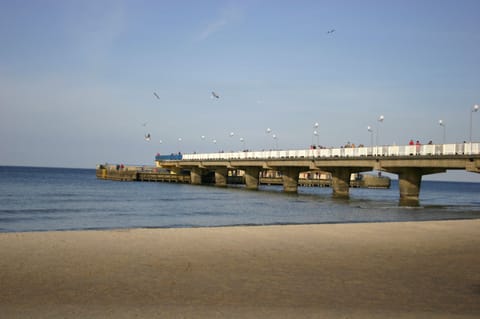 Beach nearby, white sand, sun loungers