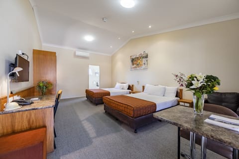 Deluxe Queen Twin Room  | Desk, soundproofing, iron/ironing board, free WiFi