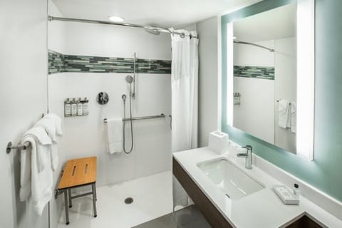 Standard Room, 1 King Bed, Accessible (Mobility Accessible) | Bathroom | Designer toiletries, hair dryer, towels