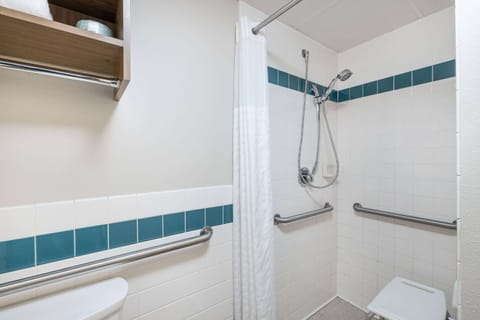 Room, 1 Queen Bed, Accessible, Non Smoking (Roll-In Shower) | Accessible bathroom